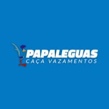 Papaleguas Caça Vazamentos
